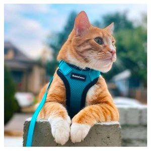 Rabbitgoo Adjustable Cat Harness and Leash Set size Small in Emerald